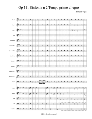 Op 111 Sinfonia n 2 primo movimento Allegro