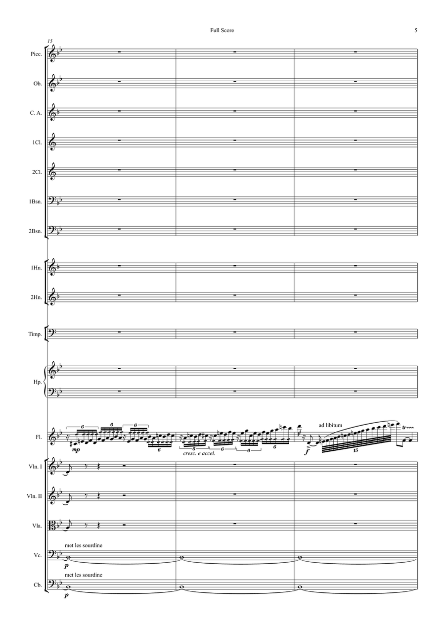 Fantasie for Flute & Symphony Orchestra (arr.) Full Score Chamber Orchestra scores gallery preview page 5