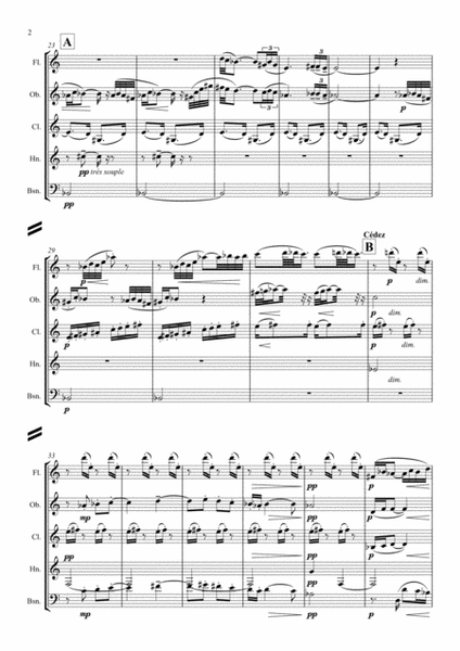 Debussy: Piano Preludes Bk.1 No.2 "Voiles" - wind quintet image number null
