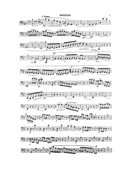 Woodwind Quintet: Bassoon