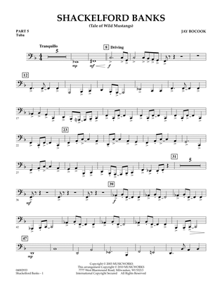 Shackelford Banks (Tale of Wild Mustangs) - Pt.5 - Tuba