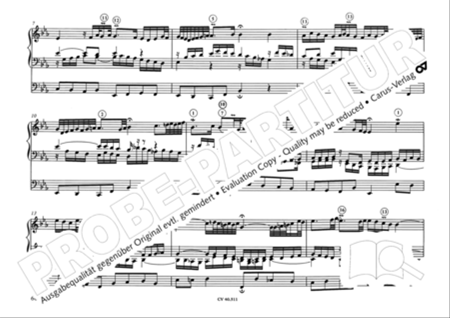 Orgelwerke des 16.-18. Jahrhunderts Piano scores gallery preview page 67