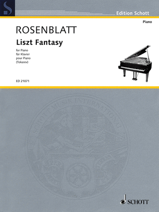 Book cover for Liszt Fantasy