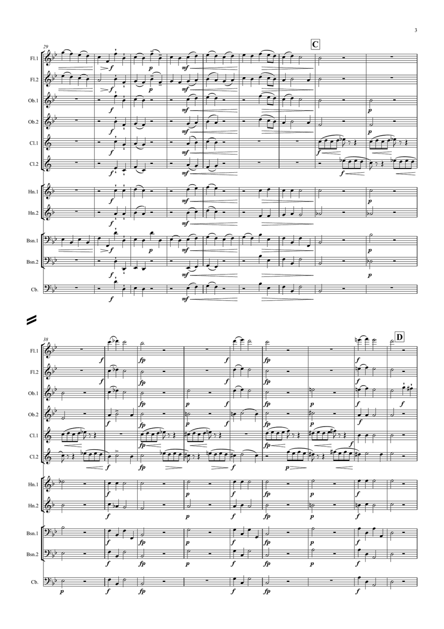 Corelli: Concerto Grosso Op.6 No.8 (Christmas Concerto) Mvt.V Allegro - symphonic wind Woodwind Quintet scores gallery preview page 3