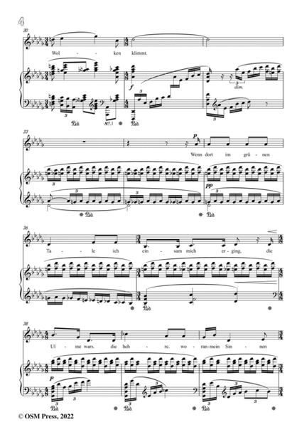 Richard Strauss-Die Ulme zu Hirsau,in b flat minor,Op.43 No.3 image number null