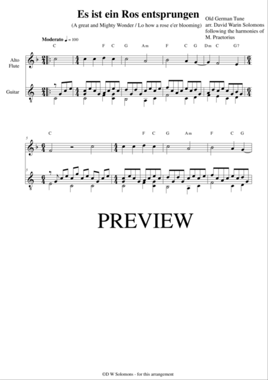 Es ist ein Ros' entsprungen for alto flute and guitar Flute scores gallery preview page 1