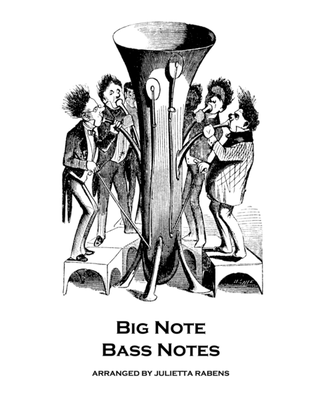 Book cover for Big Note Bass Notes