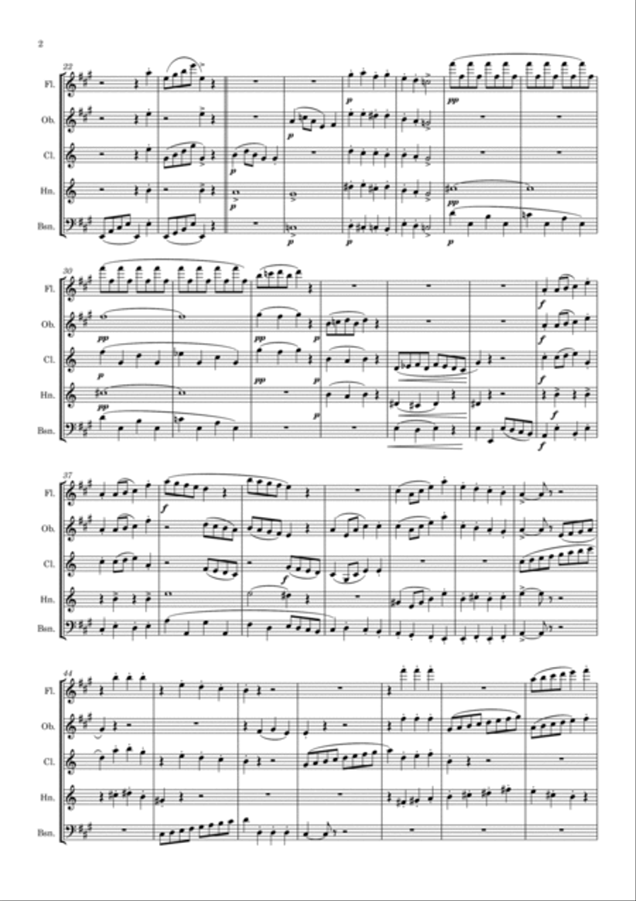 Satie: Sonatine Bureaucratique - wind quintet Woodwind Quintet scores gallery preview page 3