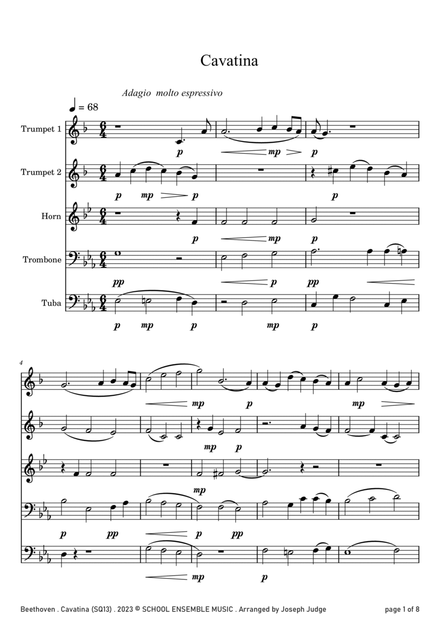 Cavatina by Beethoven for Brass Quintet in Schools Brass Quintet scores gallery preview page 1
