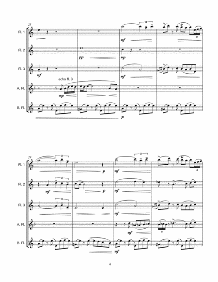 Danza Sueno (Flute Quintet) image number null