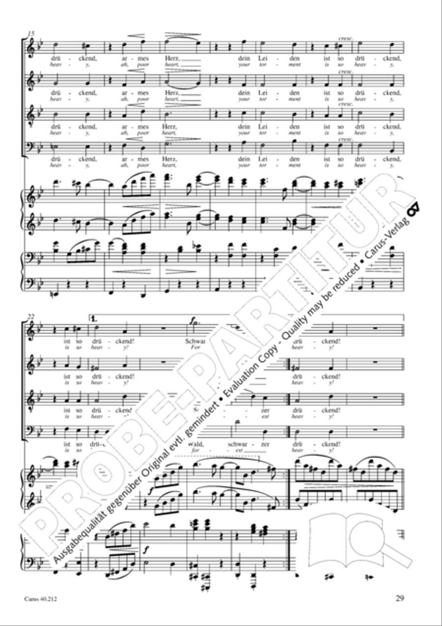Neue Liebeslieder-Walzer, Op. 65 Choir scores gallery preview page 30