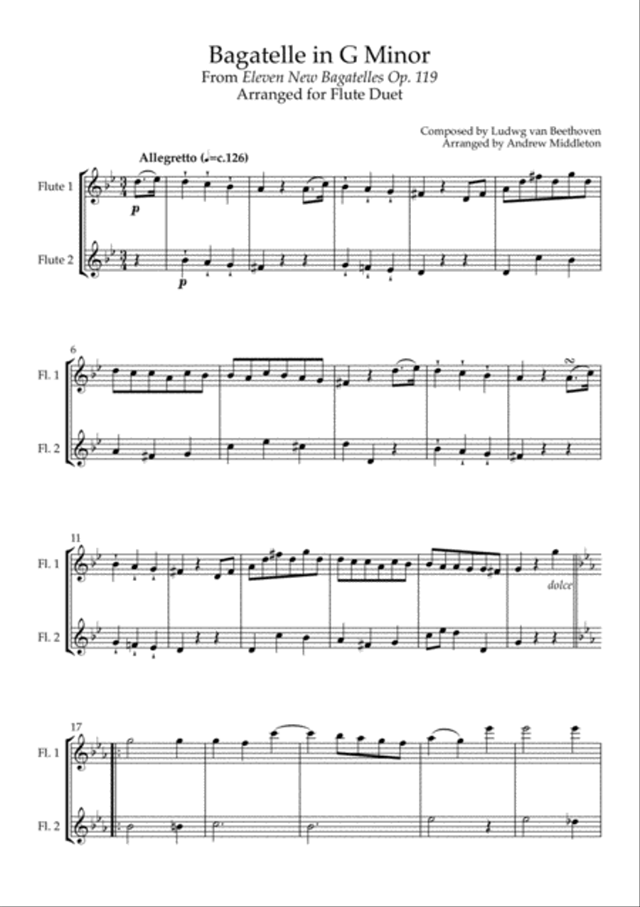 15 Duets for Beginner/Intermediate Flute Flute Duet scores gallery preview page 4