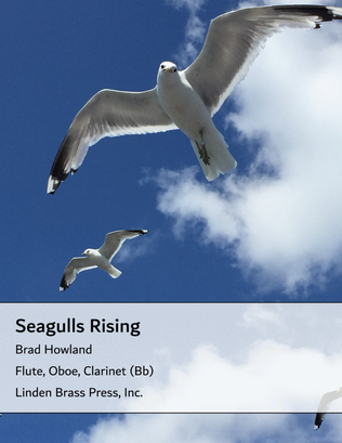 Seagulls Rising for Woodwind Trio