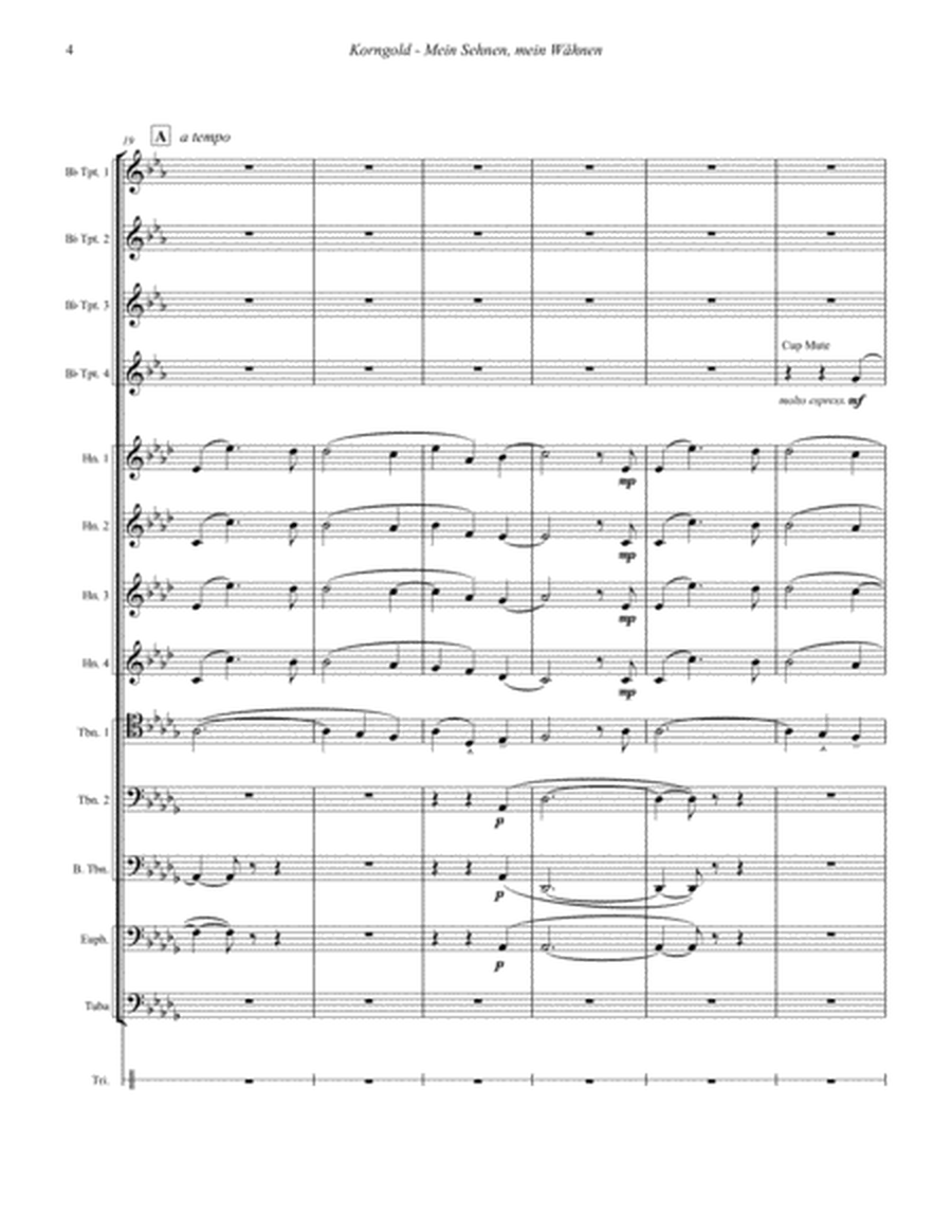 Mein Sehnen mein Wähnen for 13-part Brass Ensemble and optional percussion