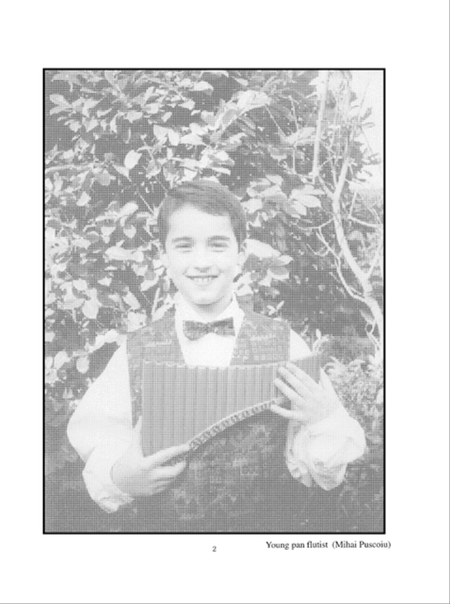 You Can Teach Yourself Pan Flute Flute scores gallery preview page 8
