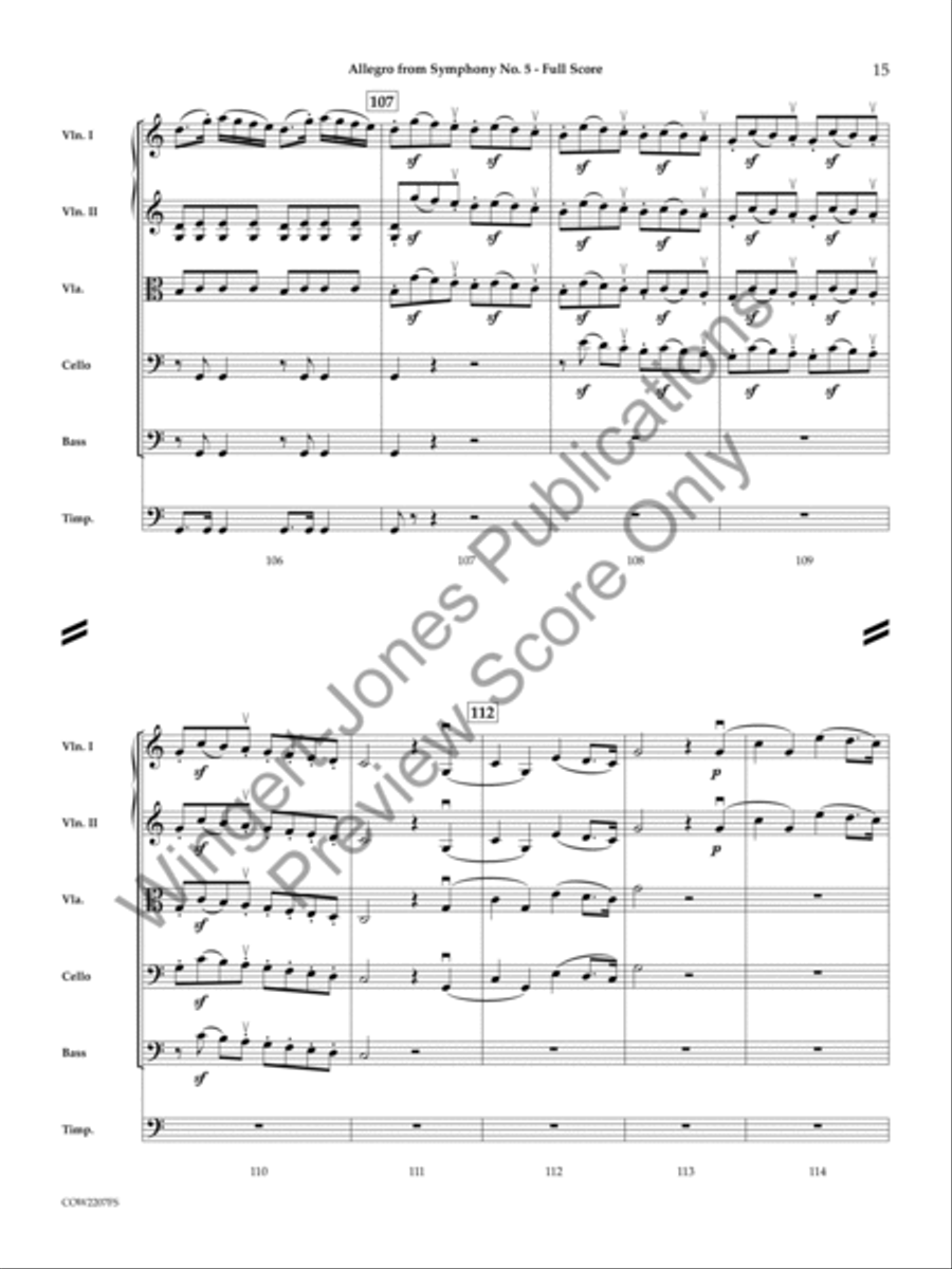 Allegro String Orchestra scores gallery preview page 14