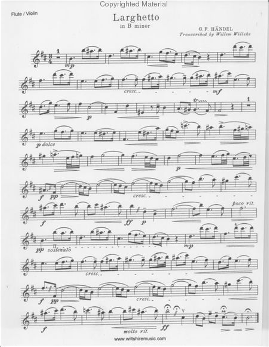 Larghetto in B Minor Larghetto in B Minor Flute Solo scores gallery preview page 2