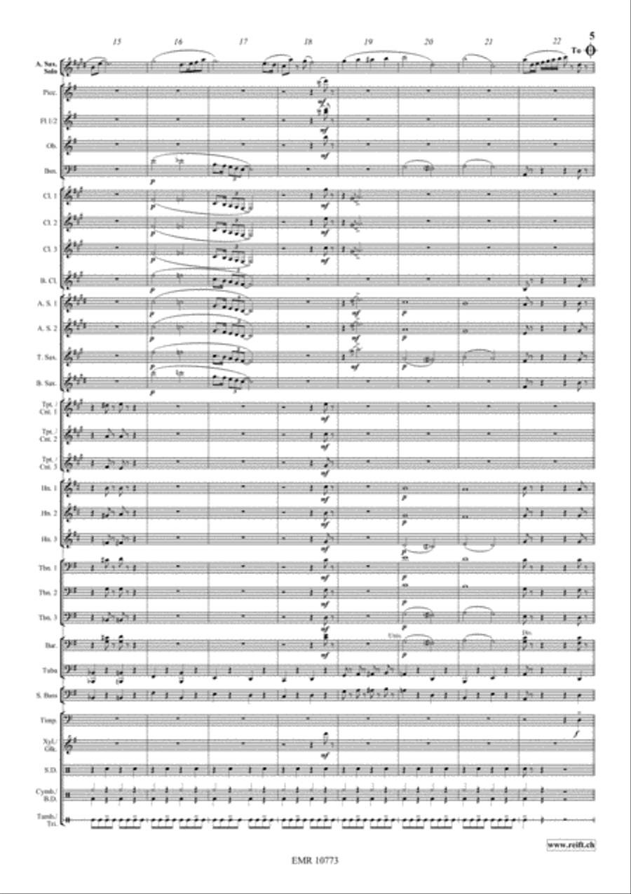 Concerto Piccolo Concerto Piccolo Concert Band scores gallery preview page 5