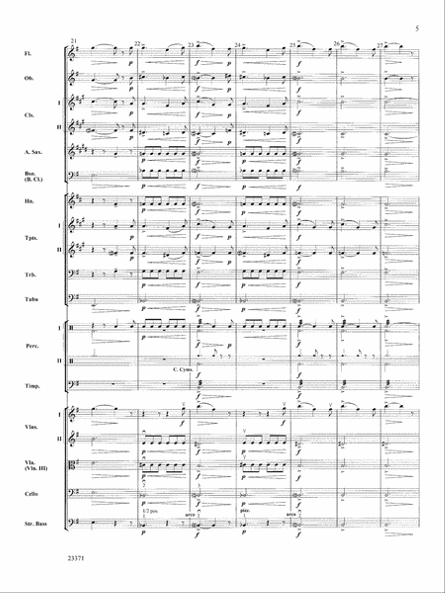 The Moldau: Score Full Orchestra scores gallery preview page 5
