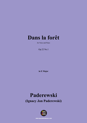 Book cover for Paderewski-Dans la forêt(1904),Op.22 No.1,in E Major