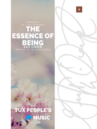 Book cover for The Essence of Being