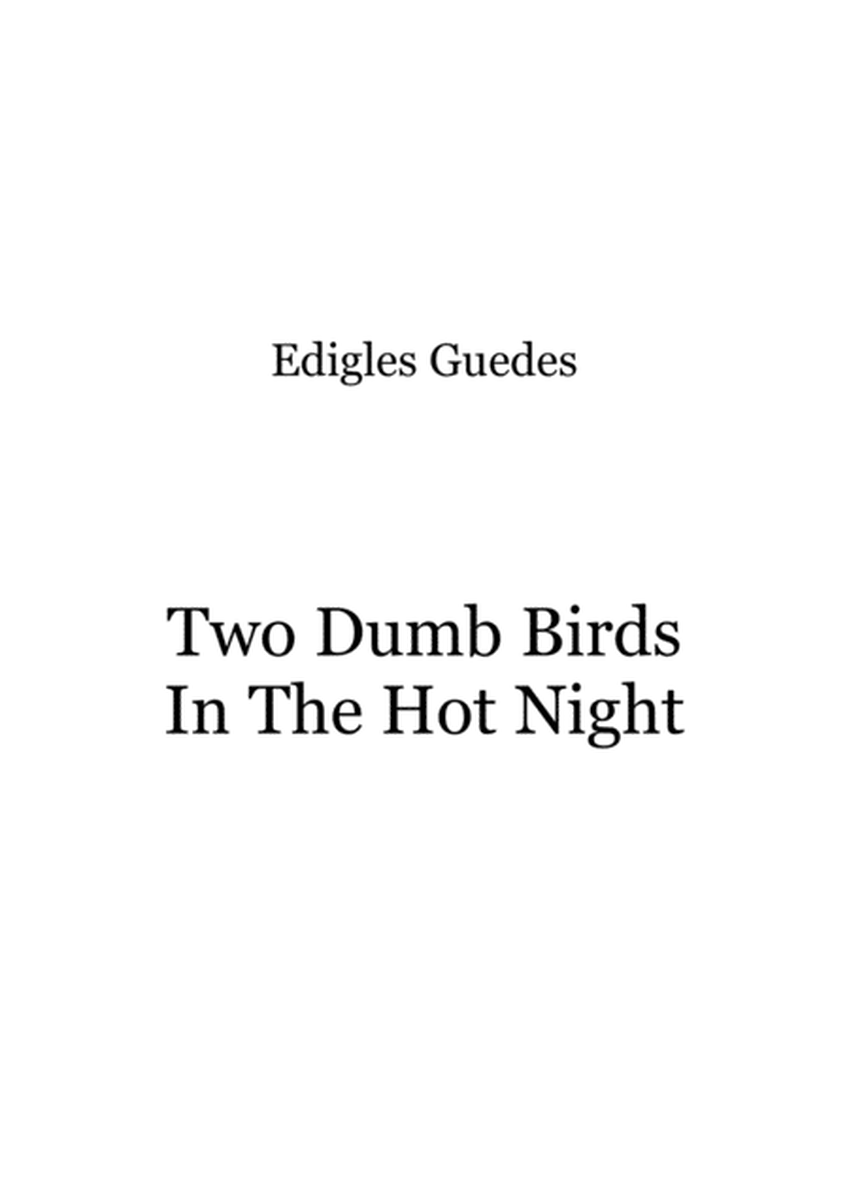 Two Dumb Birds In The Hot Night image number null