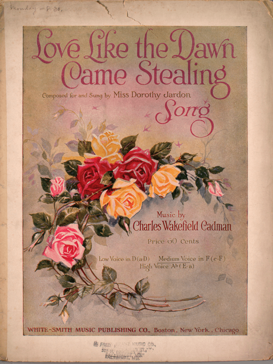 Love Like the Dawn Came Stealing