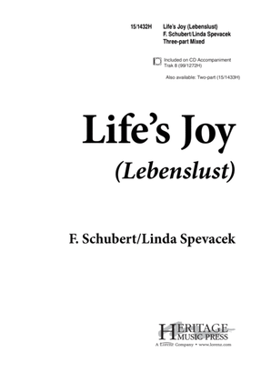 Book cover for Life's Joy