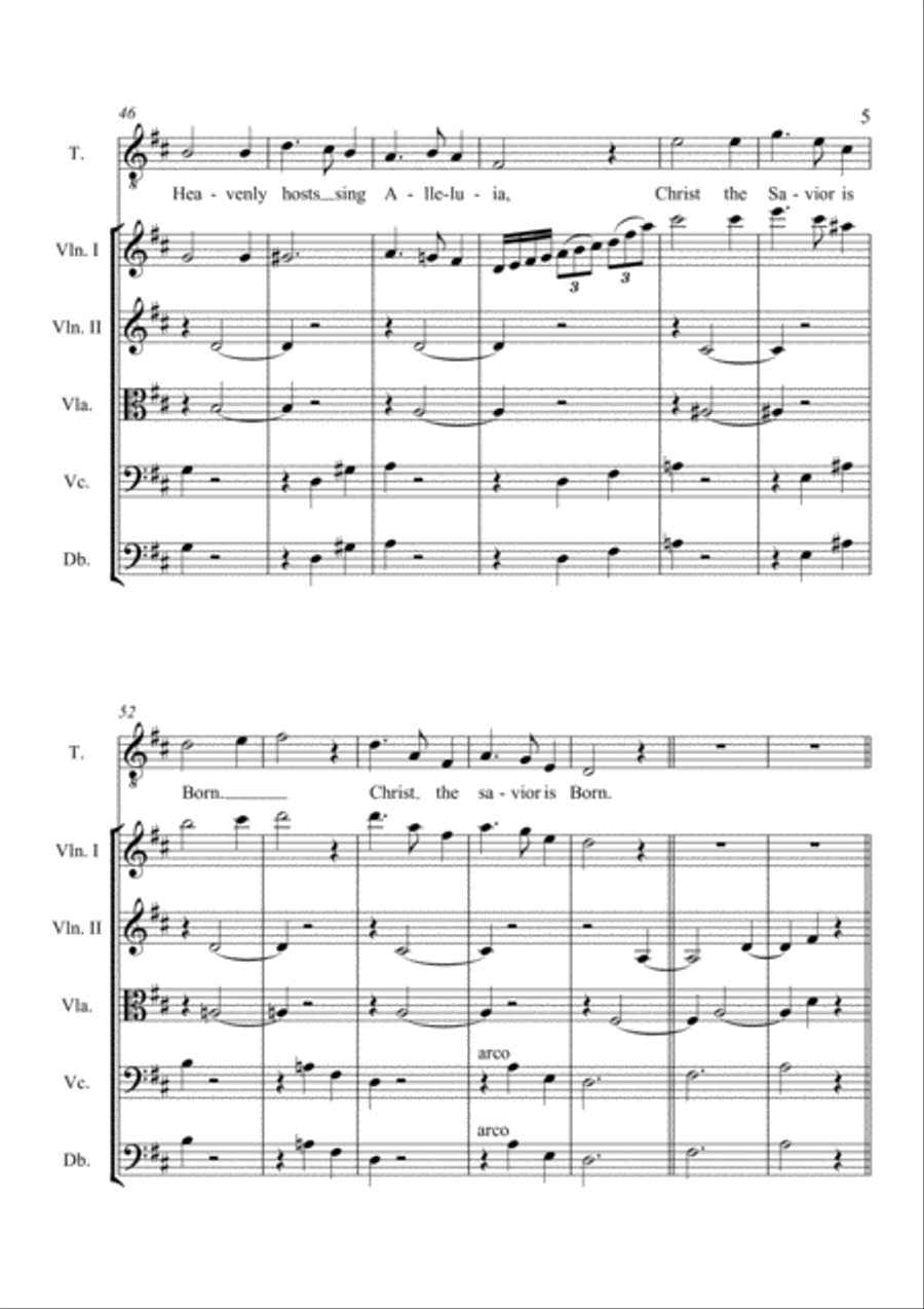 Silent Night For Tenor voice with String Orchestra accompaniment String Orchestra scores gallery preview page 6