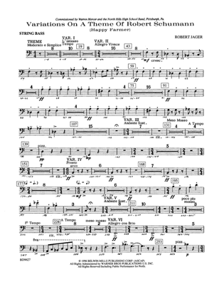 Variations on a Theme of Robert Schumann: String Bass