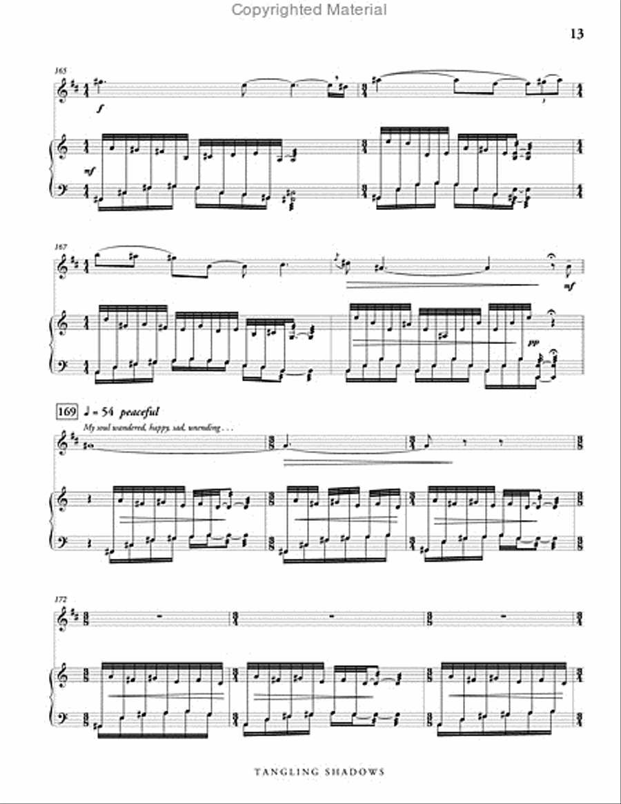 Tangling Shadows, Version 2 (score & parts) B-Flat Clarinet scores gallery preview page 14