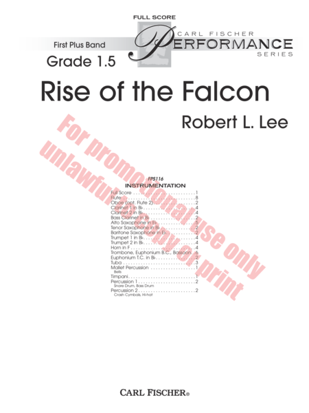 Rise of the Falcon