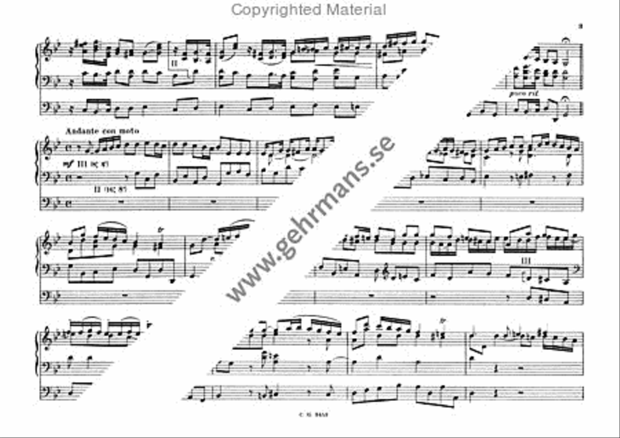Sinfonia da chiesa g-moll Organ Solo scores gallery preview page 3