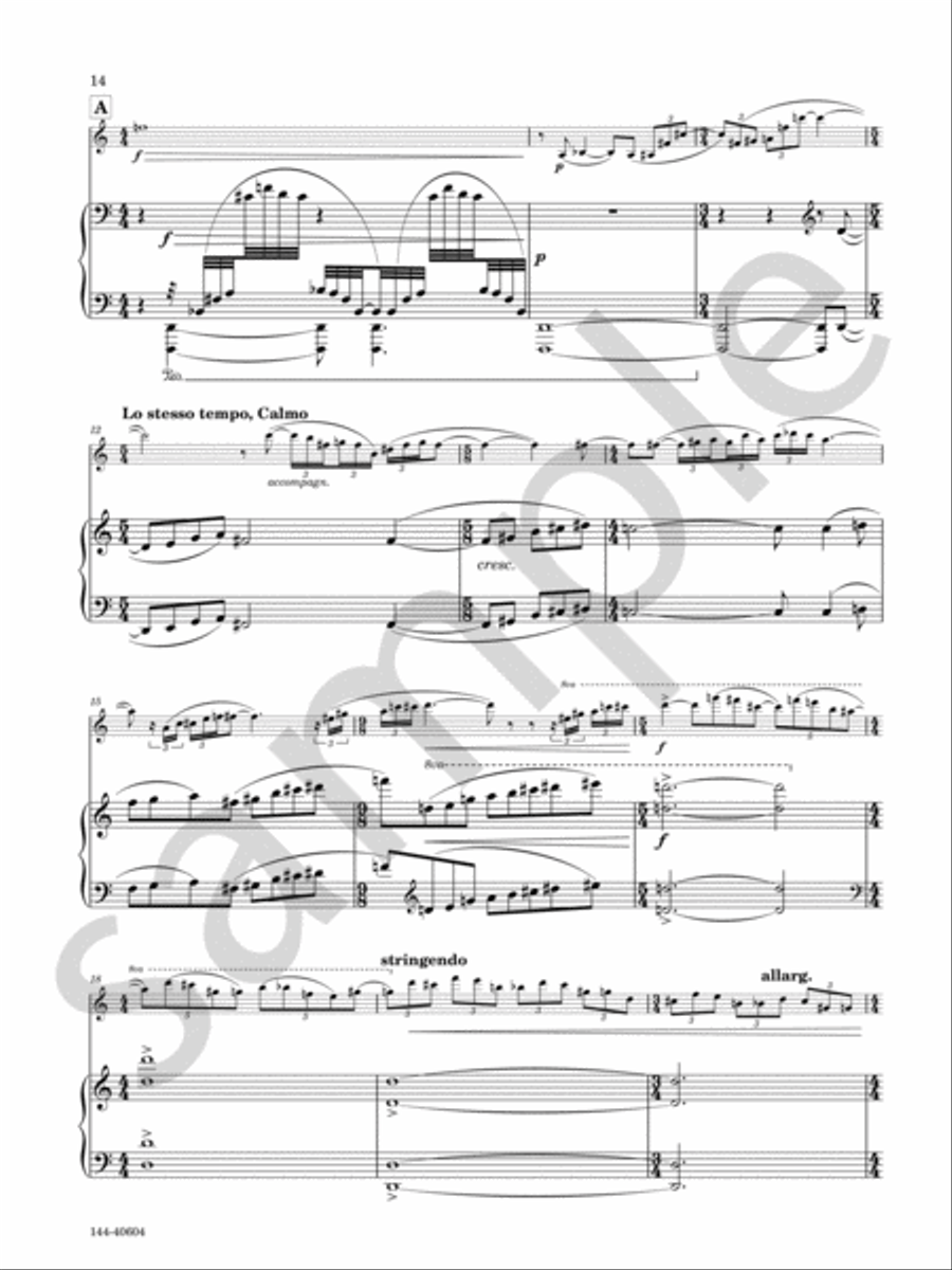Sonata Sonata Chamber Music scores gallery preview page 8