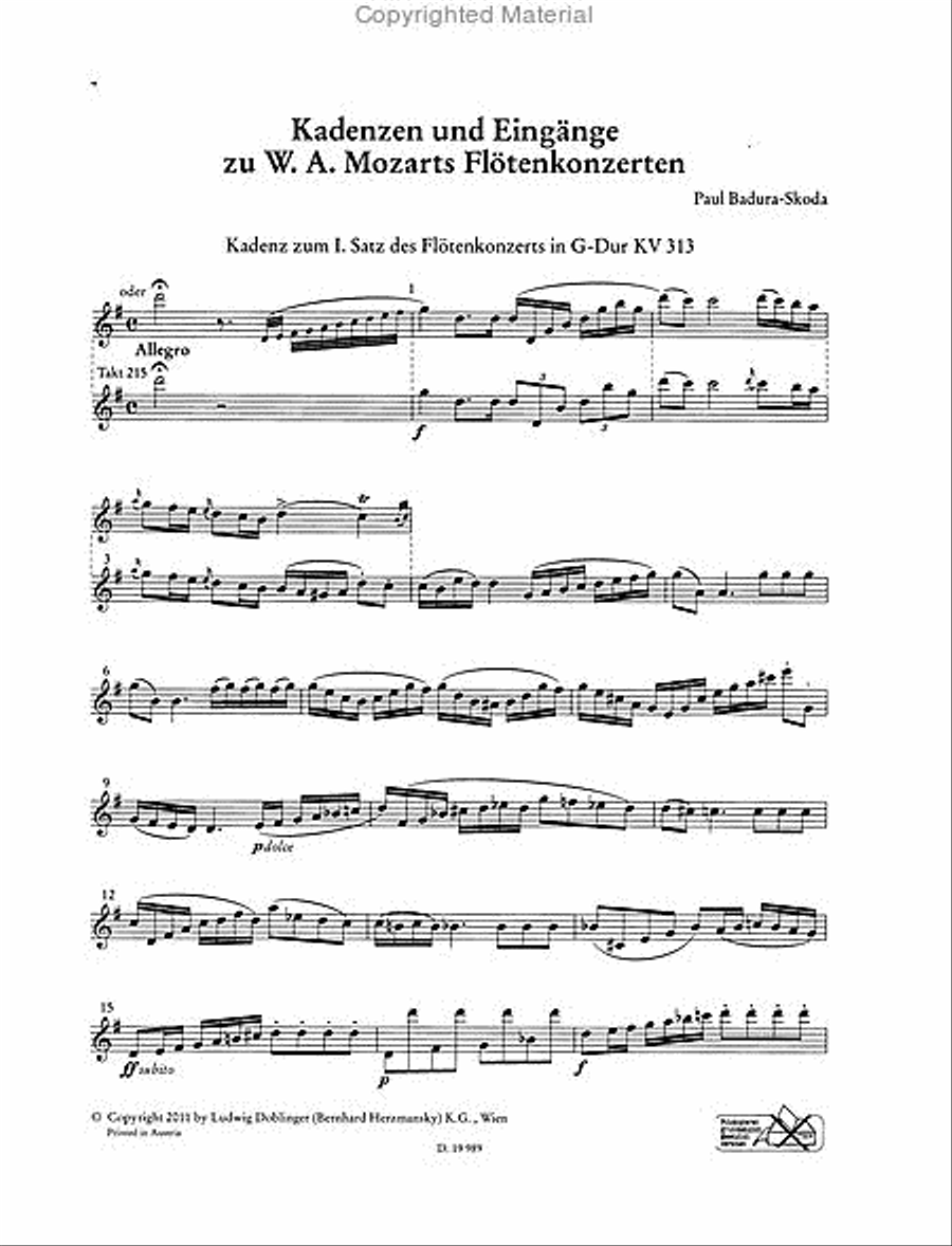 Kadenzen und Eingange zu W.A. Mozarts Flotenkonzerten