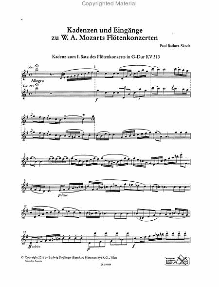 Kadenzen und Eingange zu W.A. Mozarts Flotenkonzerten