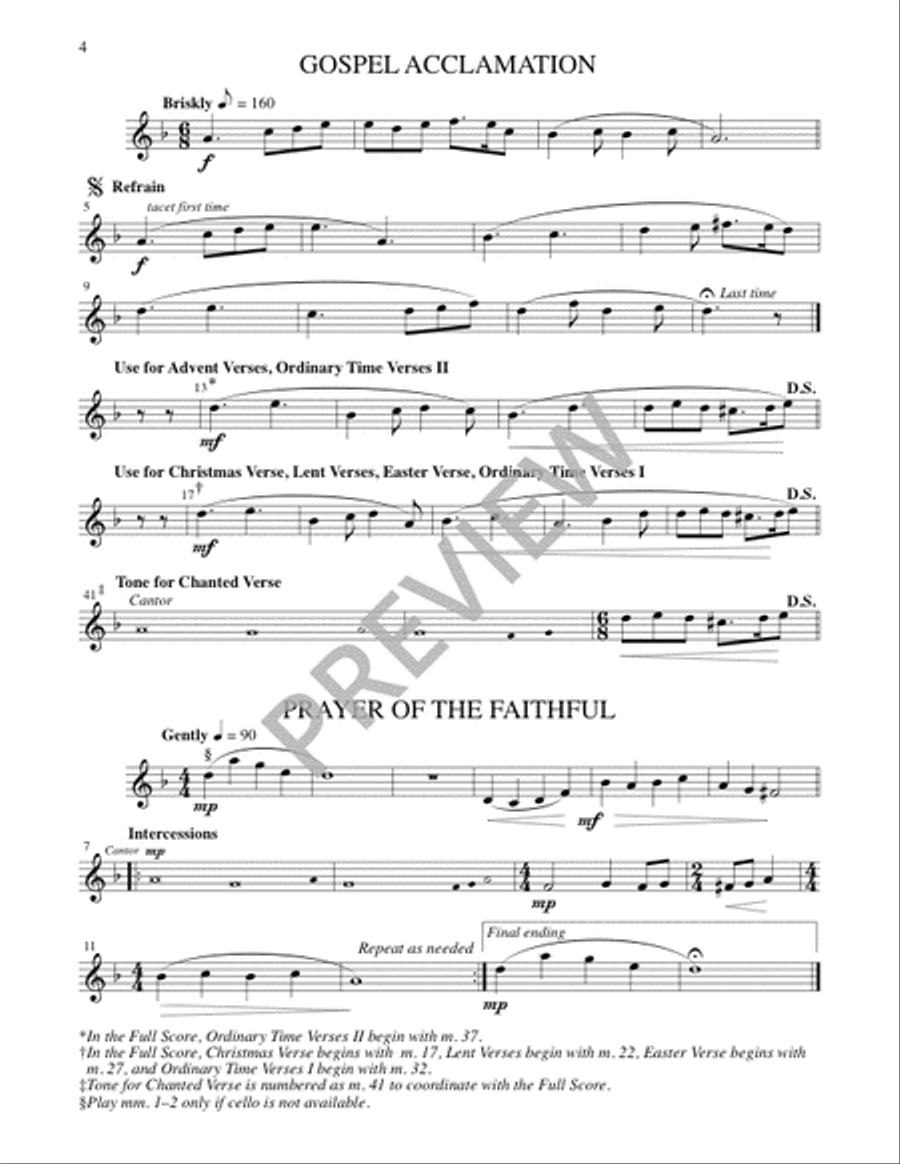 Mass of Christ, Light of the Nations - Instrument edition Flute scores gallery preview page 13