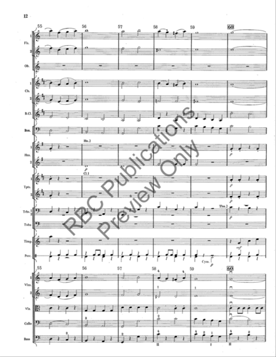Tritsch Tratsch Polka Tritsch Tratsch Polka Full Orchestra scores gallery preview page 13