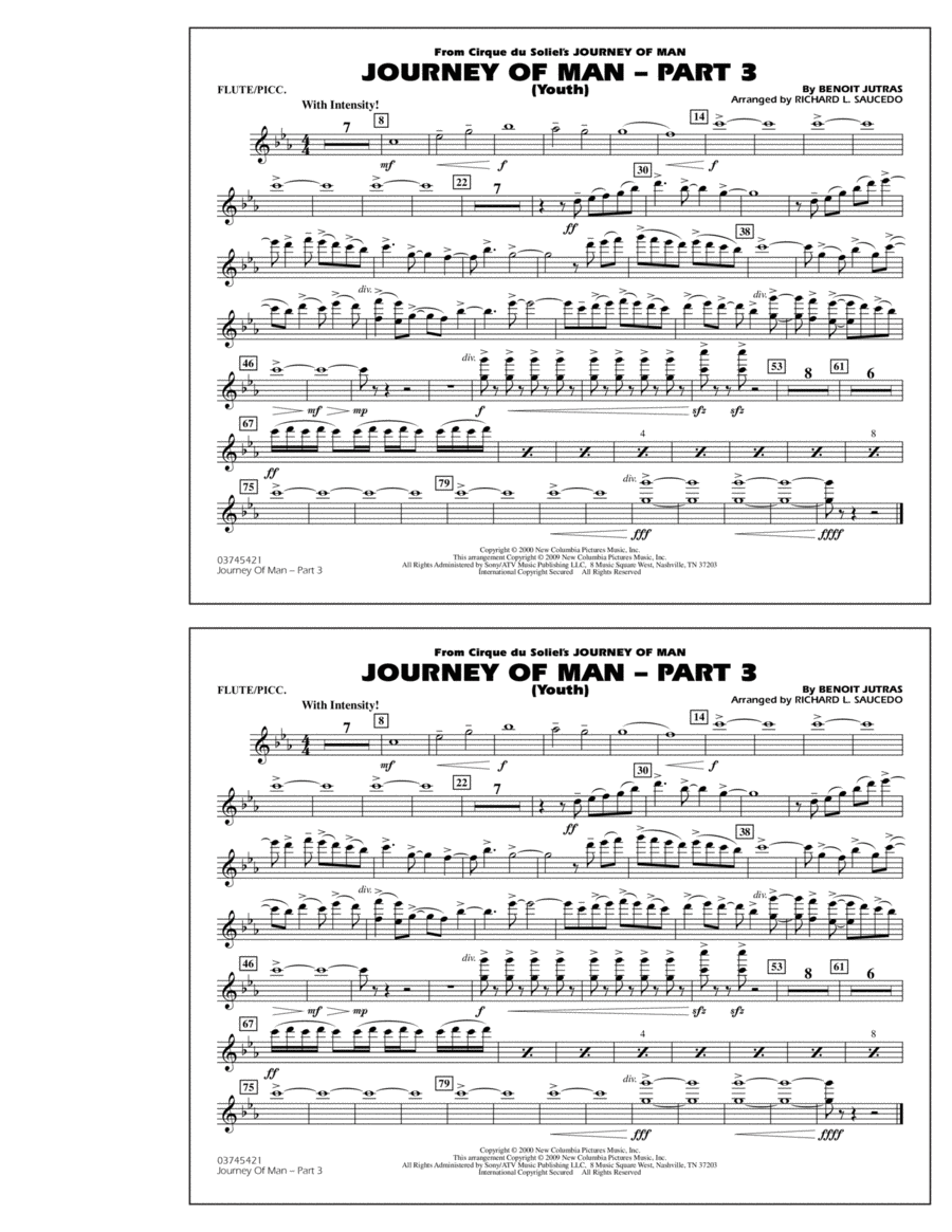 Journey of Man - Part 3 (Youth) - Flute/Piccolo