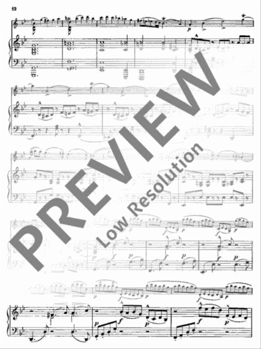 Chaconne Violin Solo scores gallery preview page 13