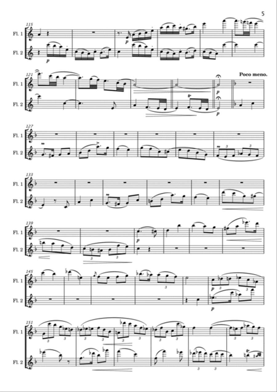 Franz Doppler - Andante et Rondo, Op.25 - For 2 Flutes Original Flute Duet scores gallery preview page 5