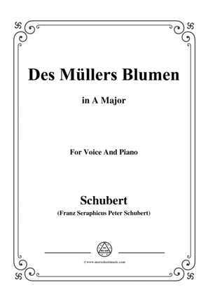 Book cover for Schubert-Des Müllers Blumen in A Major,for voice and piano