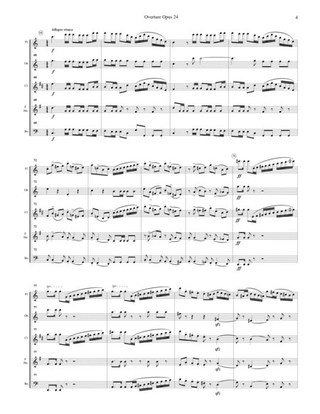 Overture Op.24 for Woodwind Quintet