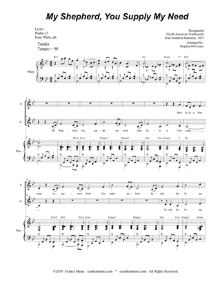 My Shepherd, You Supply My Need (for 2-part choir - (SA)