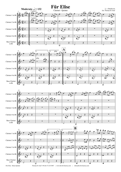 For Elise - Ludwig van Beethoven - Clarinet Quintet