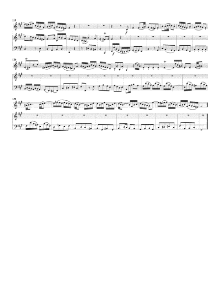 Aria: Erleucht' auch meine finstre Sinnen from: Weihnachts-Oratorium, BWV 248 (arrangement for violi