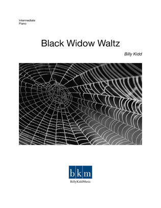 Book cover for The Black Widow Waltz