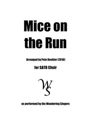 Mice on the Run