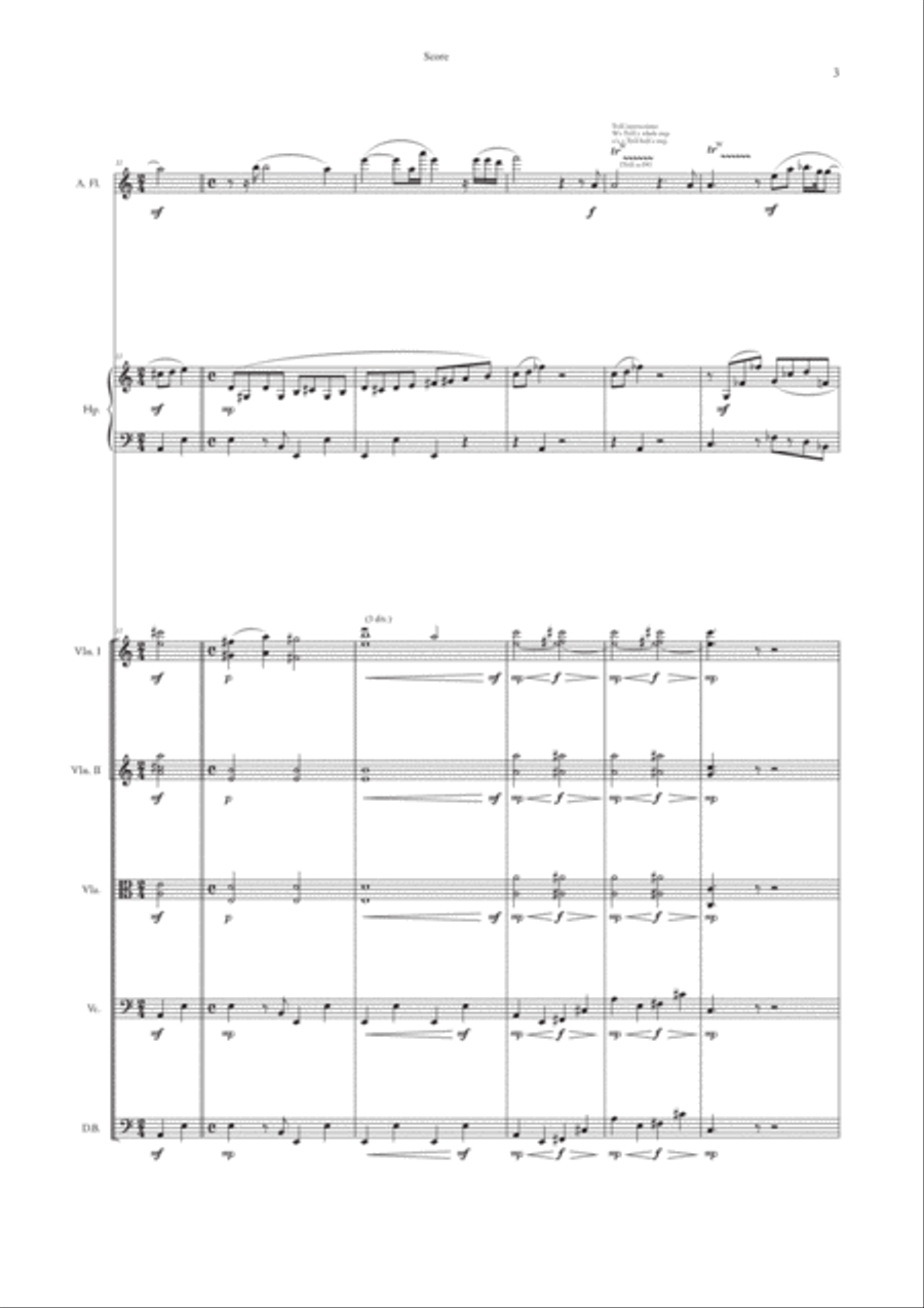 Flute Mystery Op.66a (Alto Flute version) String Orchestra scores gallery preview page 5