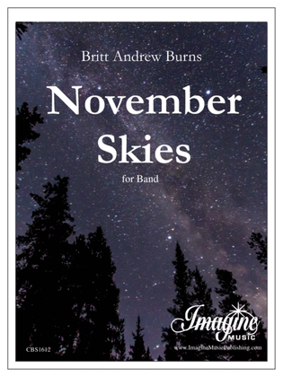 Book cover for November Skies